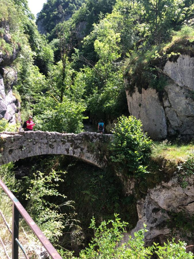 Au Pied Du Vercors Tout Est Permis La Riviere  Exterior photo